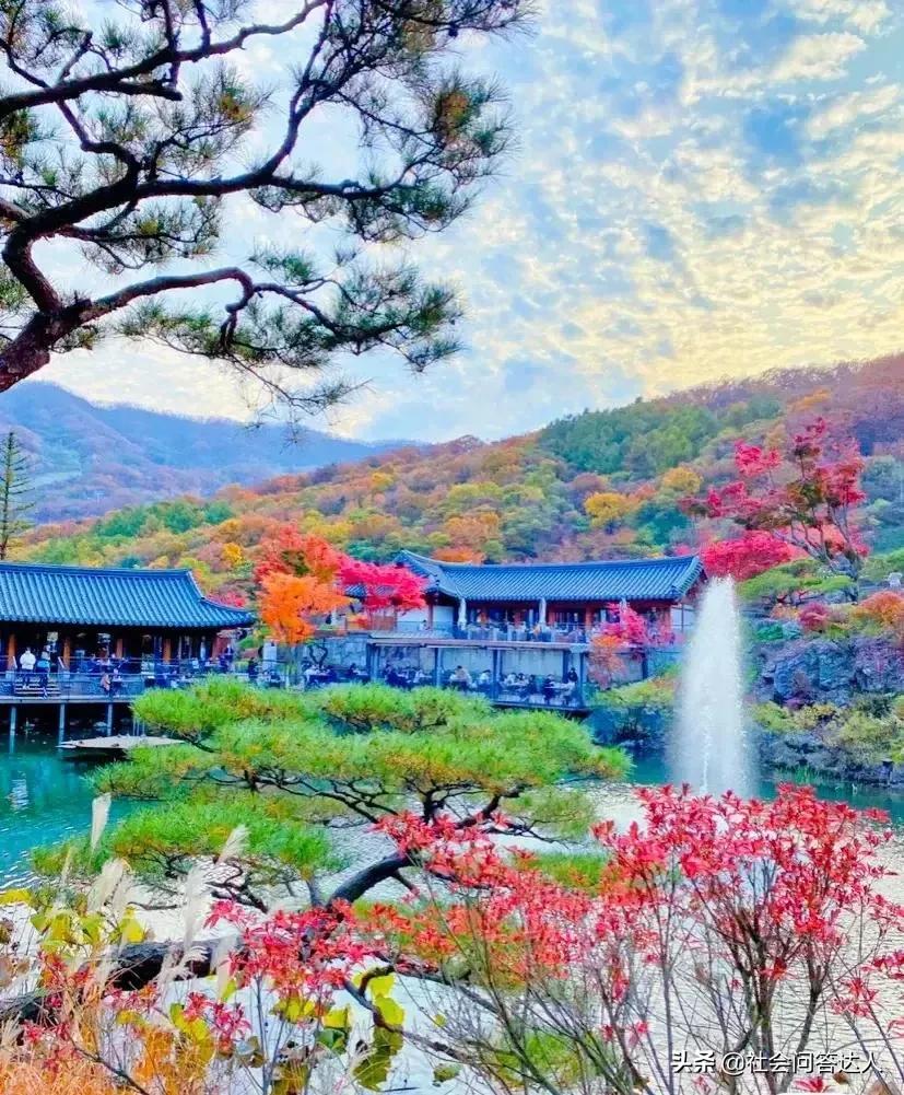 50岁快到了怎样申请退休金,50岁还没有养老金怎么办