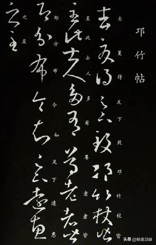 竹是风骨,平安竹养的如此茂盛