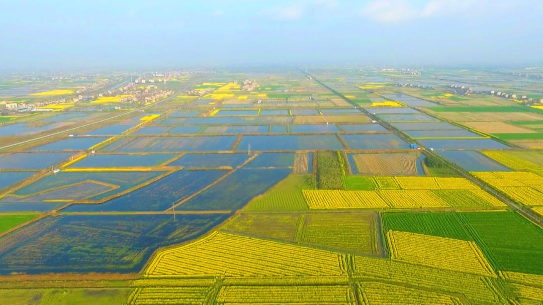 白马寺镇：发展顾问成为农户致富的“香饽饽”