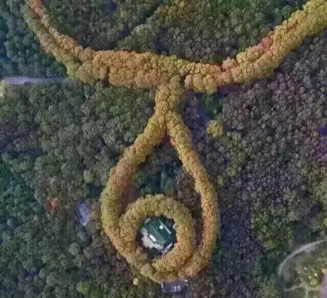 在南京旅游必须知道的90个常识,南京旅游最全攻略超实用