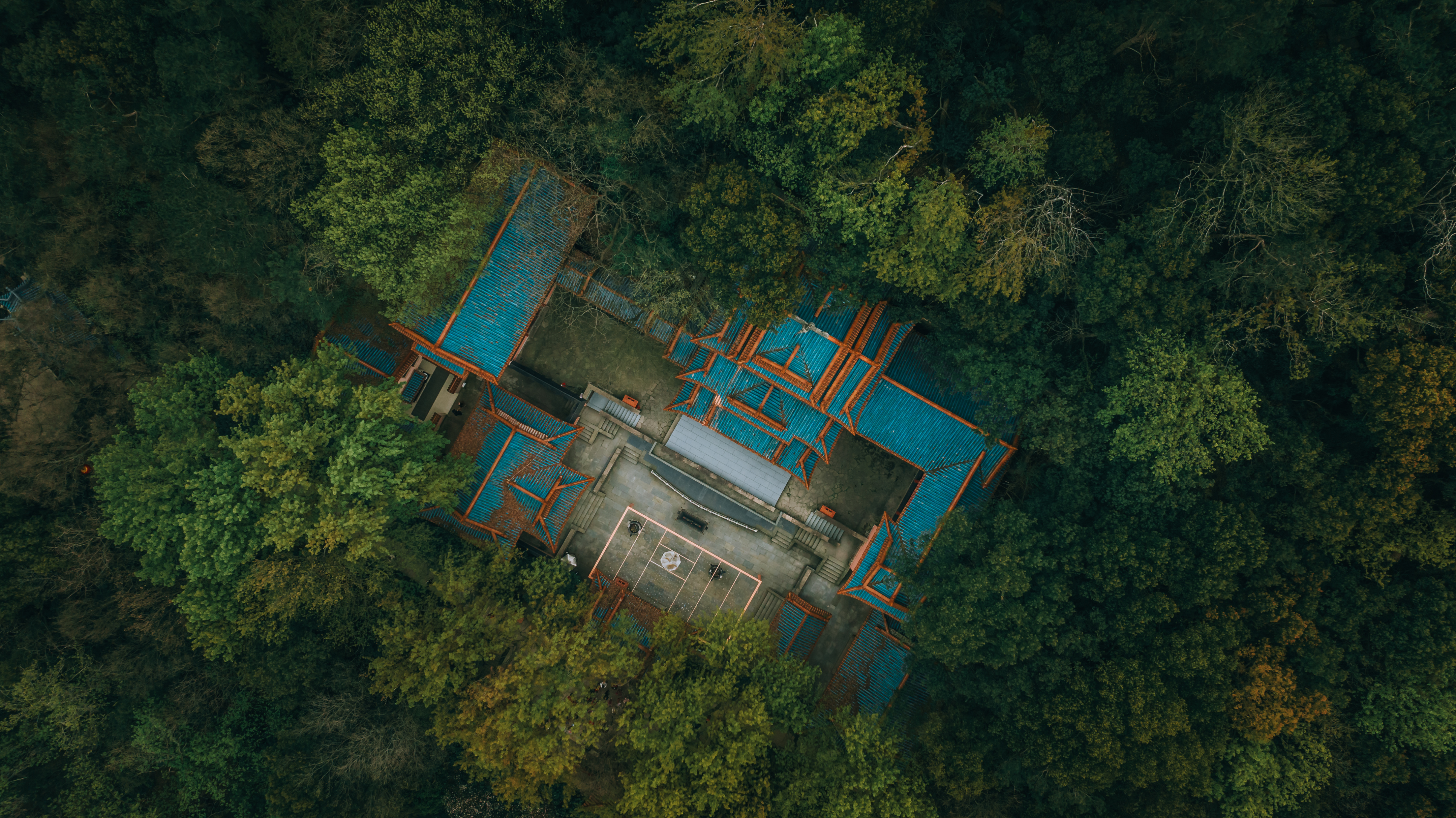 鼋头渚樱花盛宴比日本更令人沉醉,太湖鼋头渚樱花美如画