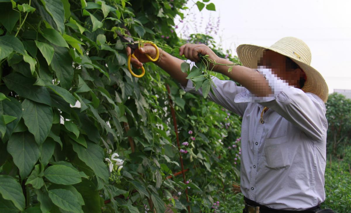 新娘被前男友性侵事件,新娘被性侵后续