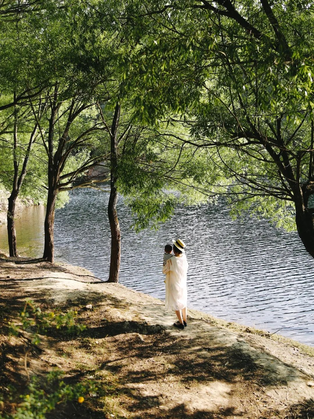裸辞女教师云南,辞职女教师隐居山村多年