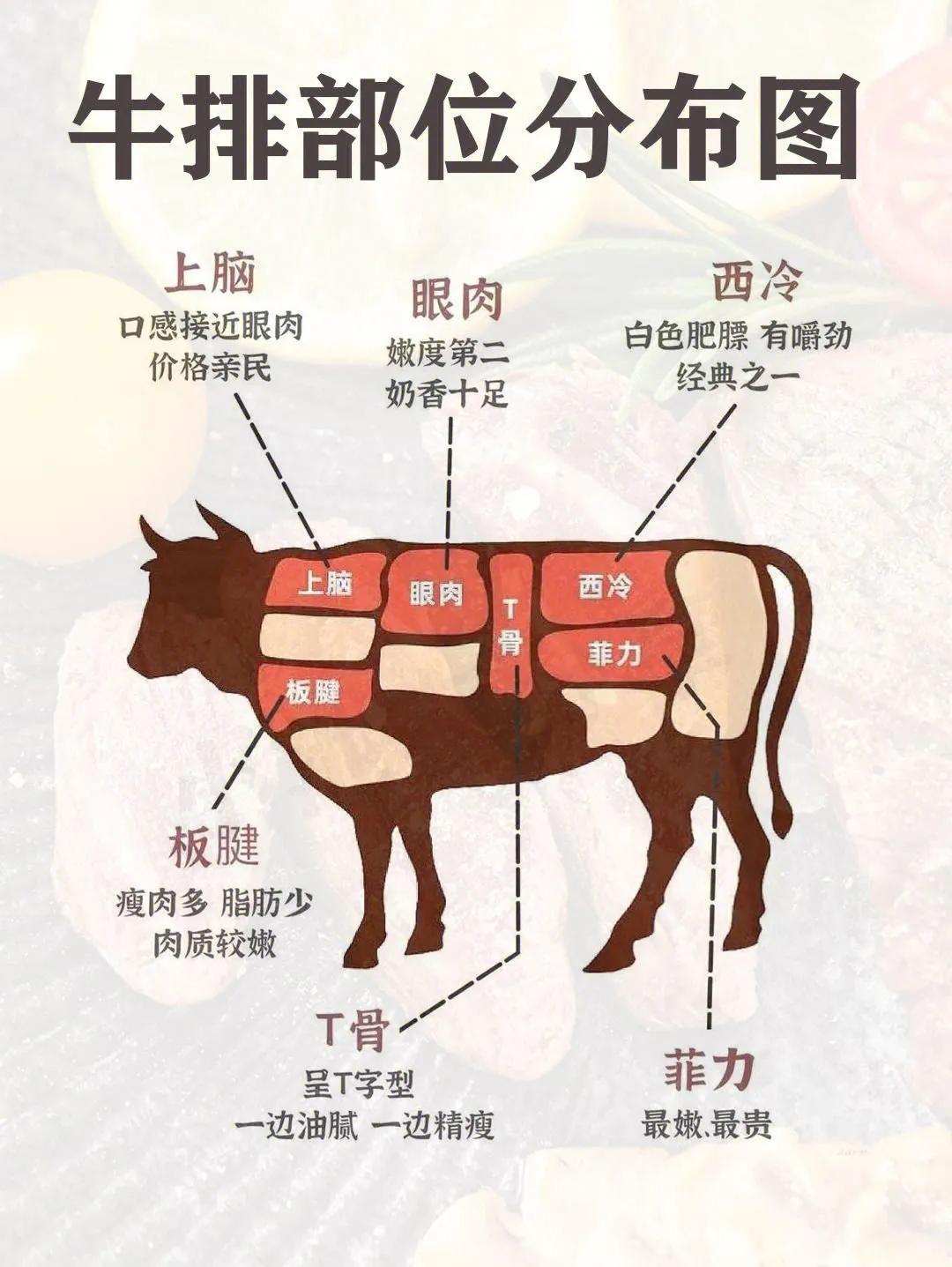六种最好吃的牛排,常见的6种牛排