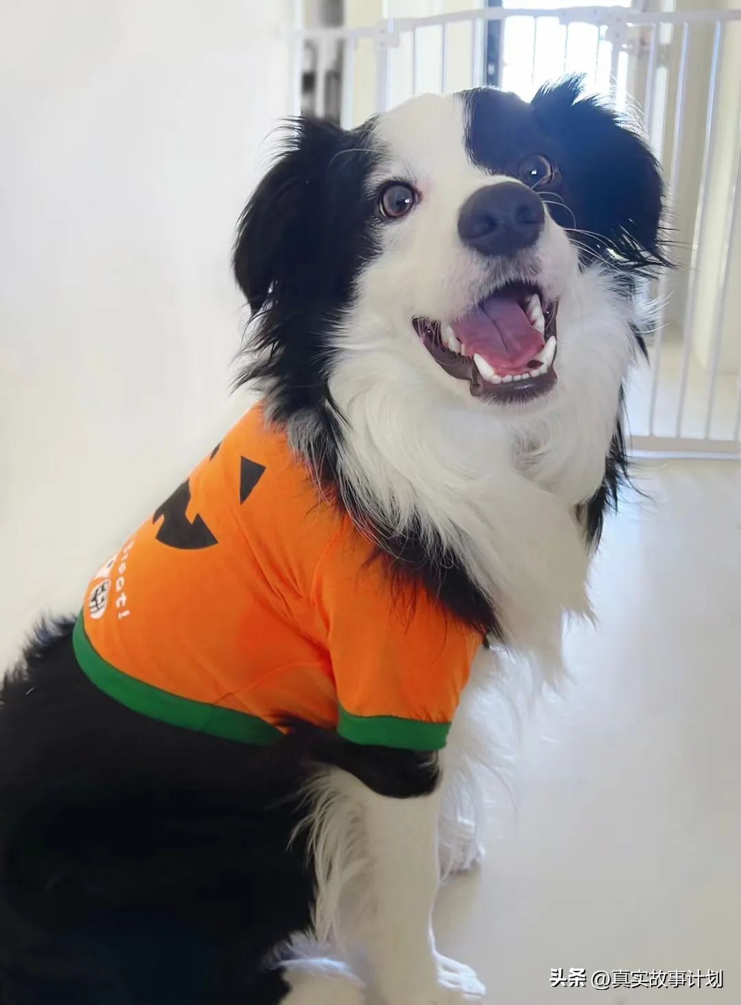 患癌的男人,患癌的男子