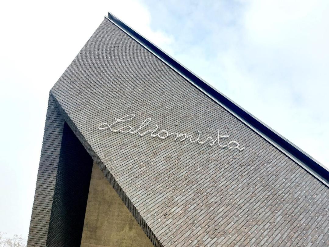 生命大熔炉！空降世界最疯的艺术养鸡工作室