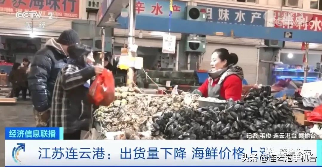 连云港上央视,连云港港上过几次央视