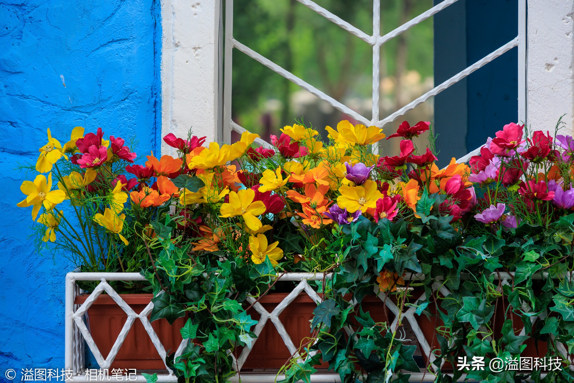 eosr7微单详细测评,佳能r7这款相机真的是值得买吗