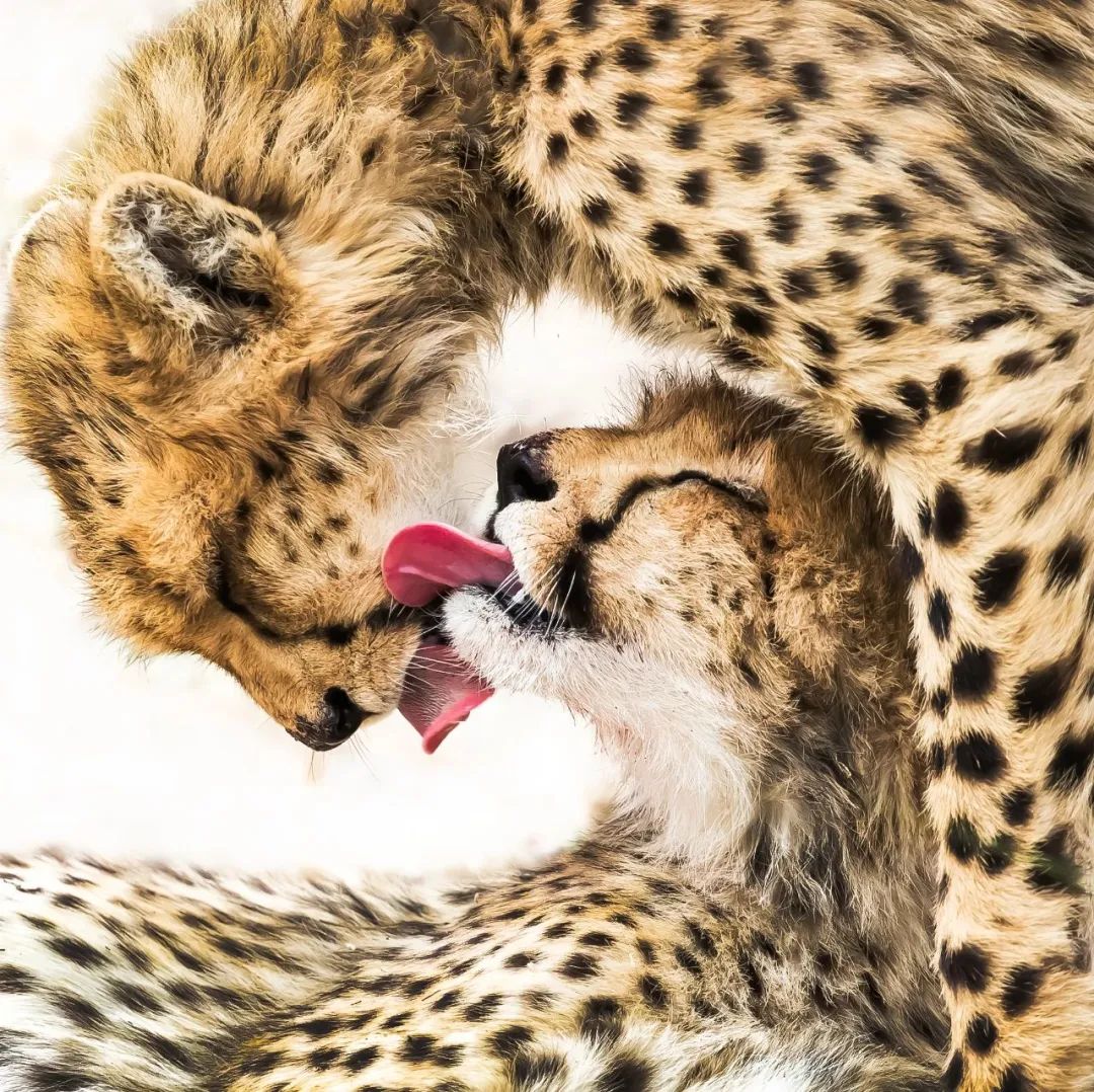 周末推荐阅读书目,乔布斯禅与投资说的什么