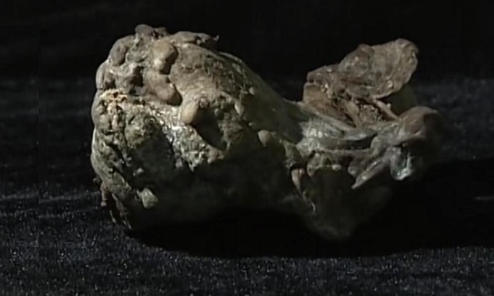 考古挖古墓挖出来自己的先人,考古学家挖古墓发现是自己家祖坟