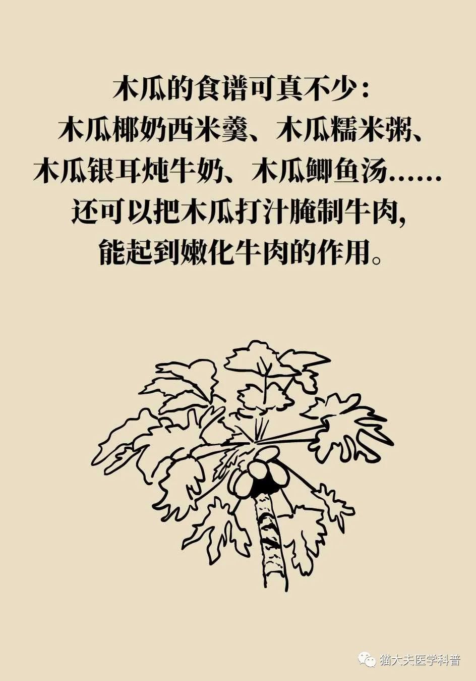 热量比较低适合减肥夜晚吃的水果,夏季水果推荐减肥吃哪些