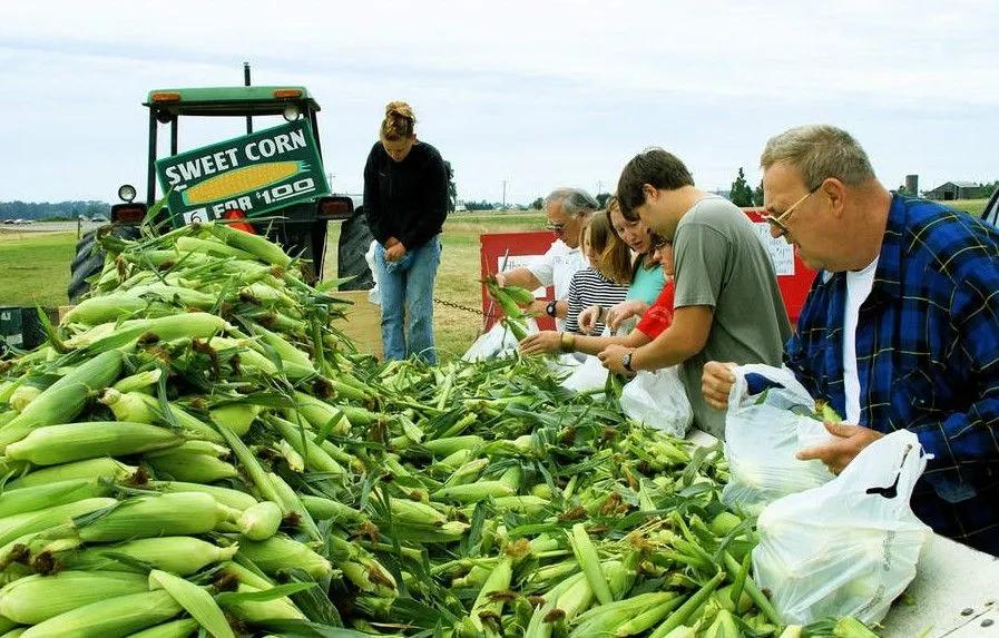 这6种东西建议不要吃,这几样东西千万不要混着吃