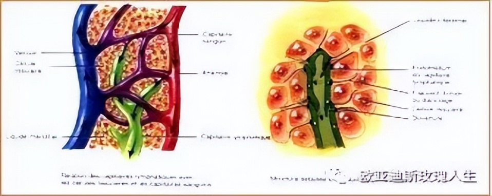 临沂妇幼保健院有什么科室,临沂市妇幼保健院成人康复科