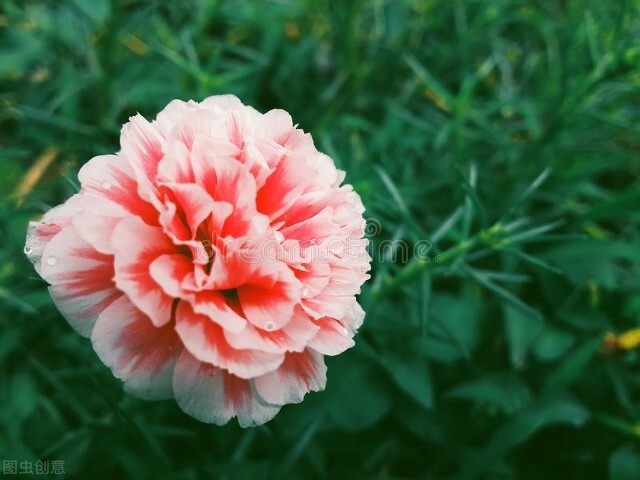 你所不知道的国家冷知识西班牙,西班牙语30秒认识西班牙冷知识