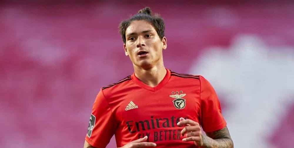 洋洋聊足球比赛,洋洋聊世界杯