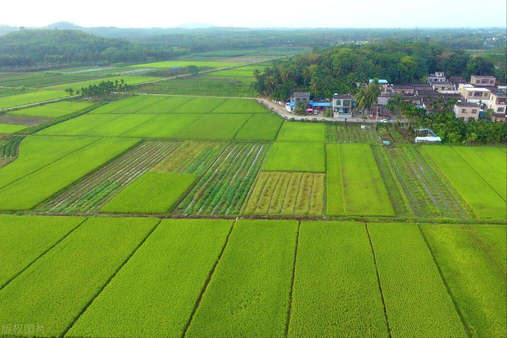 老话说:清明上坟3忌3做,子孙平安无忧无灾祸,3忌3做啥意思?