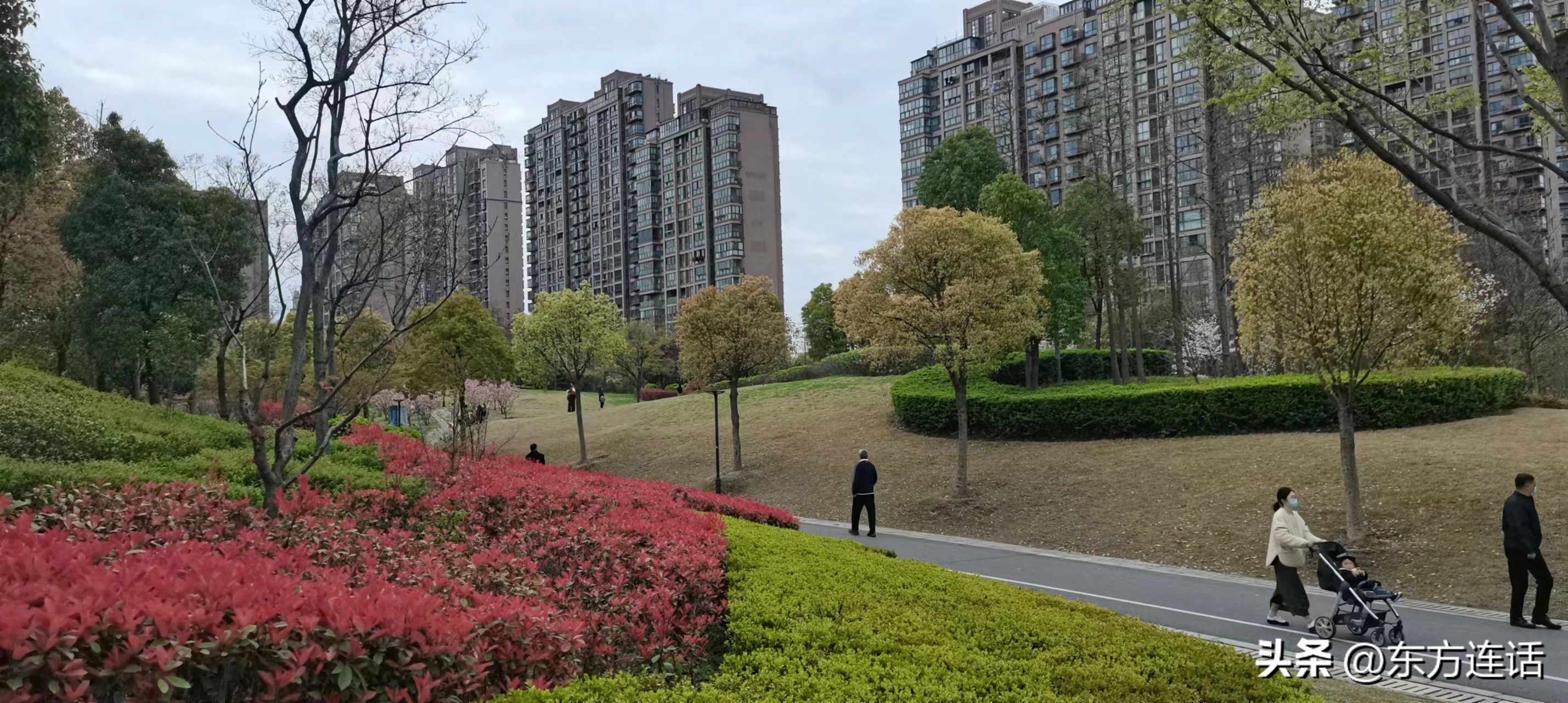 上海光启公园和徐家汇公园,上海公园和北京公园哪个多一些