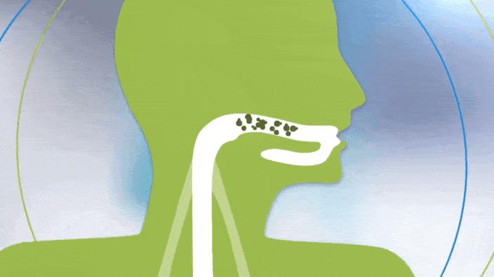 5岁小孩积食有口臭食物调理,含b族维生素的食物能去口臭吗