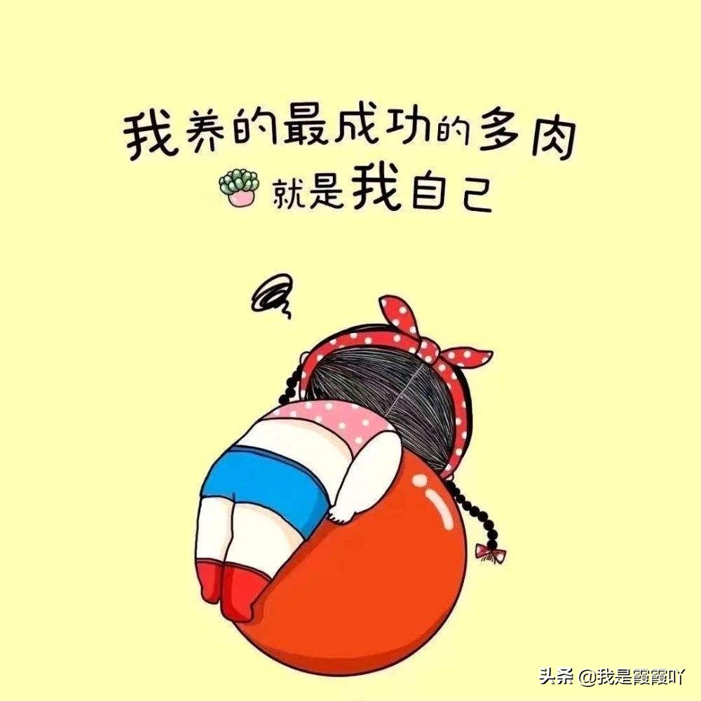 成功的意思及含义,成功的三大含义