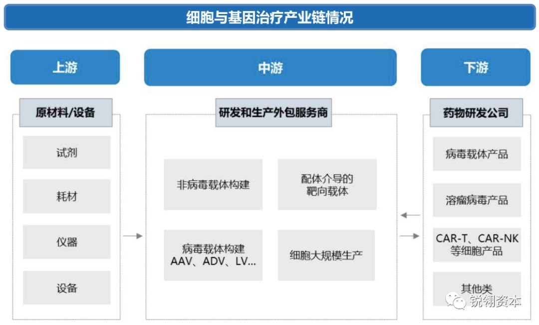 cgt缁嗚優鍩哄洜鐤楁硶,cgt鍩哄洜鐤楁硶