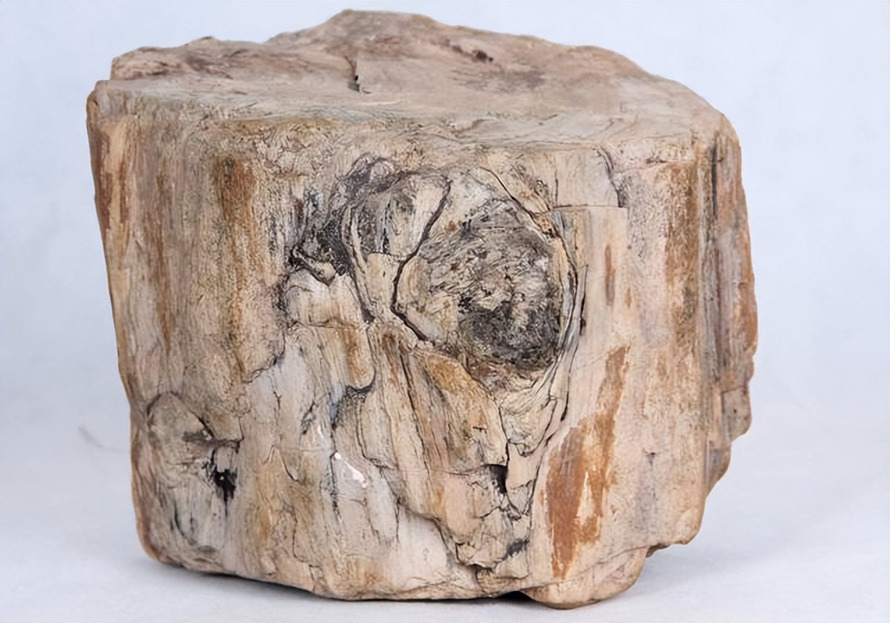 美国送的月壤是真的假的,美国给的1克月岩是赠送的吗