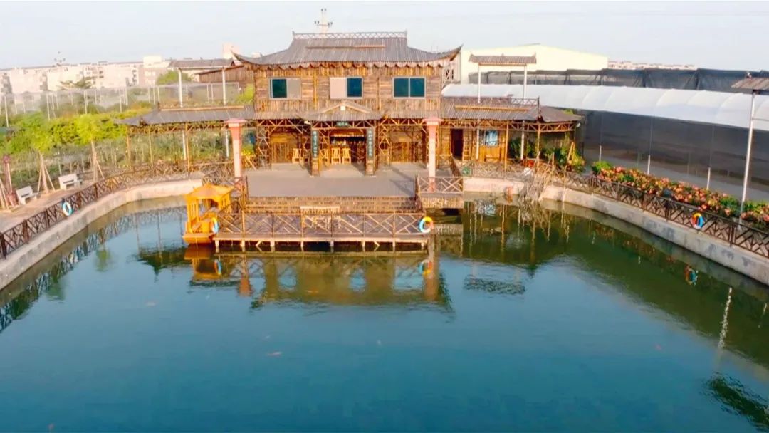 竹山县培育壮大竹产业,竹产业资源整合