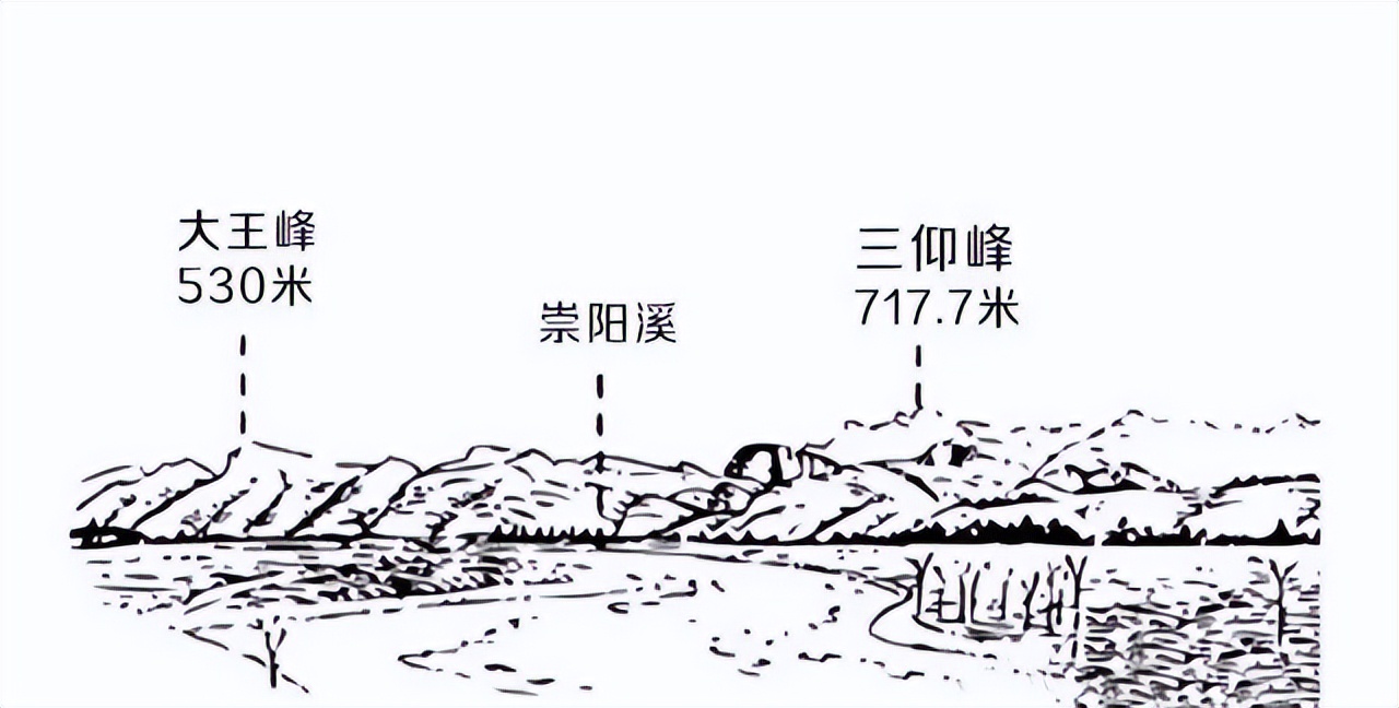 如何了解武夷山茶,探寻武夷