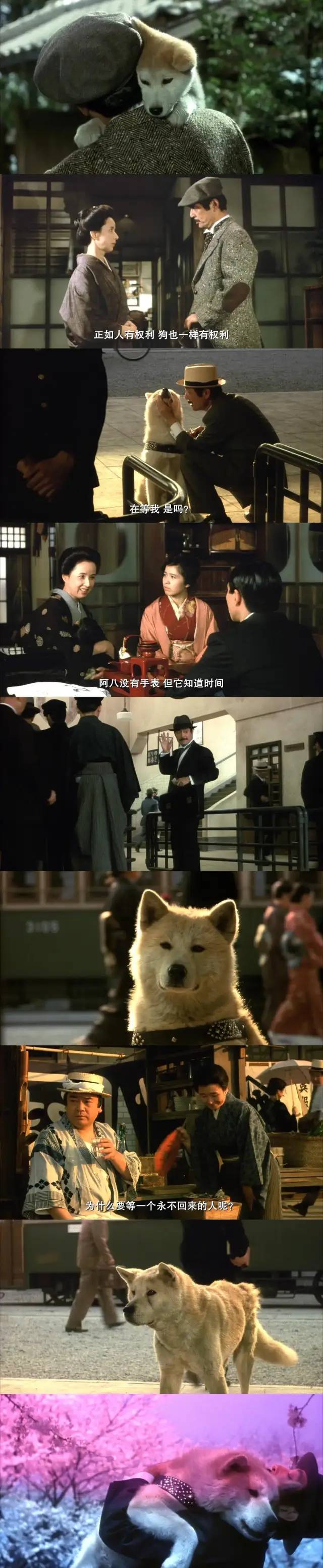 日版忠犬八公几个版本 (日本忠犬八公物语电影完整版)