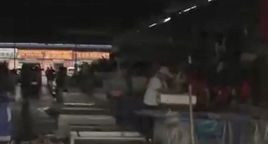 男子花20万买受伤鲶鱼,男子花20万买了一条受伤的鱼