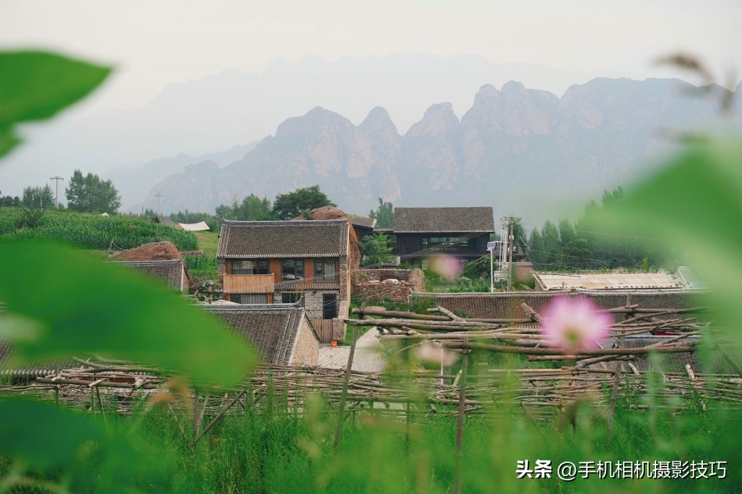 最有违和感的照片,盘点那些毫无违和感的图片