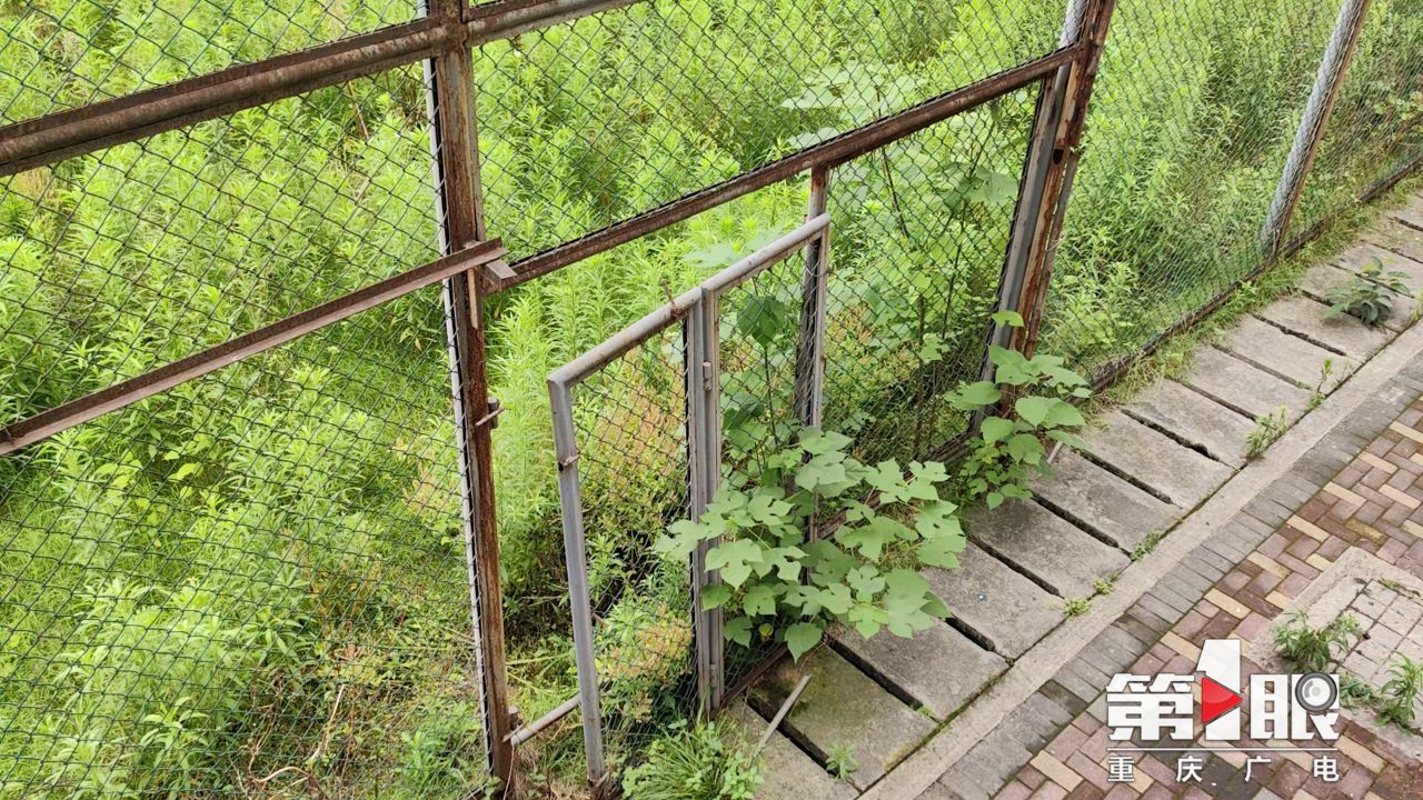 重庆两江竞技足球俱乐部在哪个区,重庆两江竞技俱乐部拆除建什么