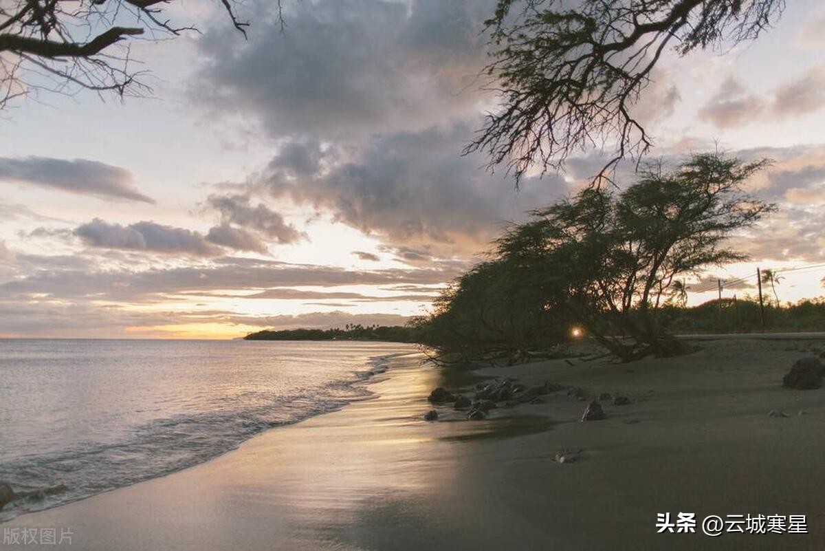 世界各地频繁创高温纪录,全球高温纪录被破三次一知半解