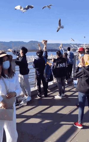 中国队世界杯搞笑视频,世界杯失误搞笑视频