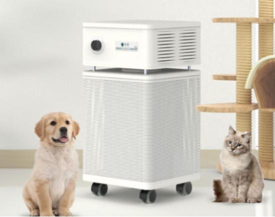 房子闷一天开一天除甲醛,房子闷了三天甲醛含量高