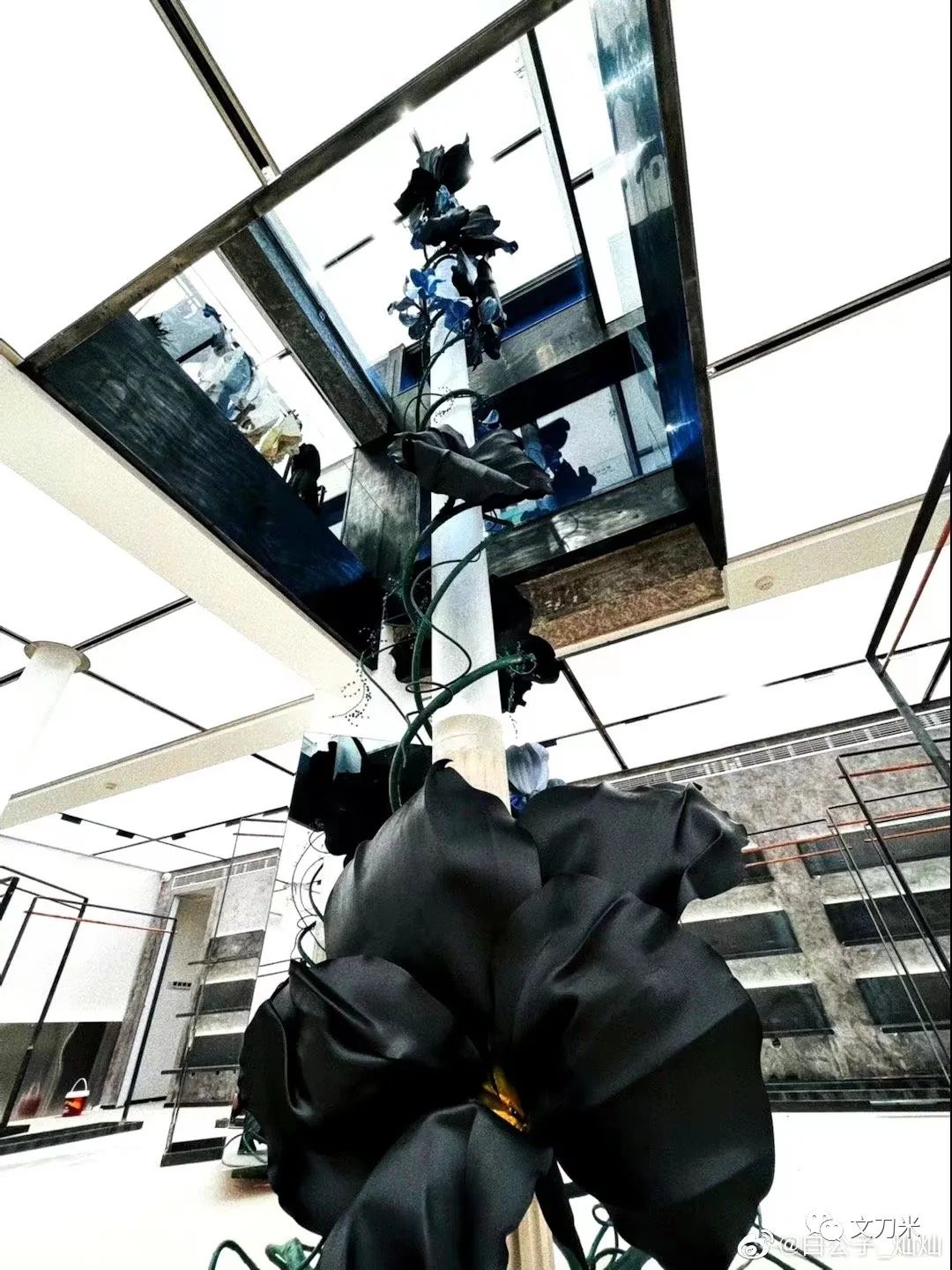 34岁转行即火|大品牌、明星争相找这位新手做花