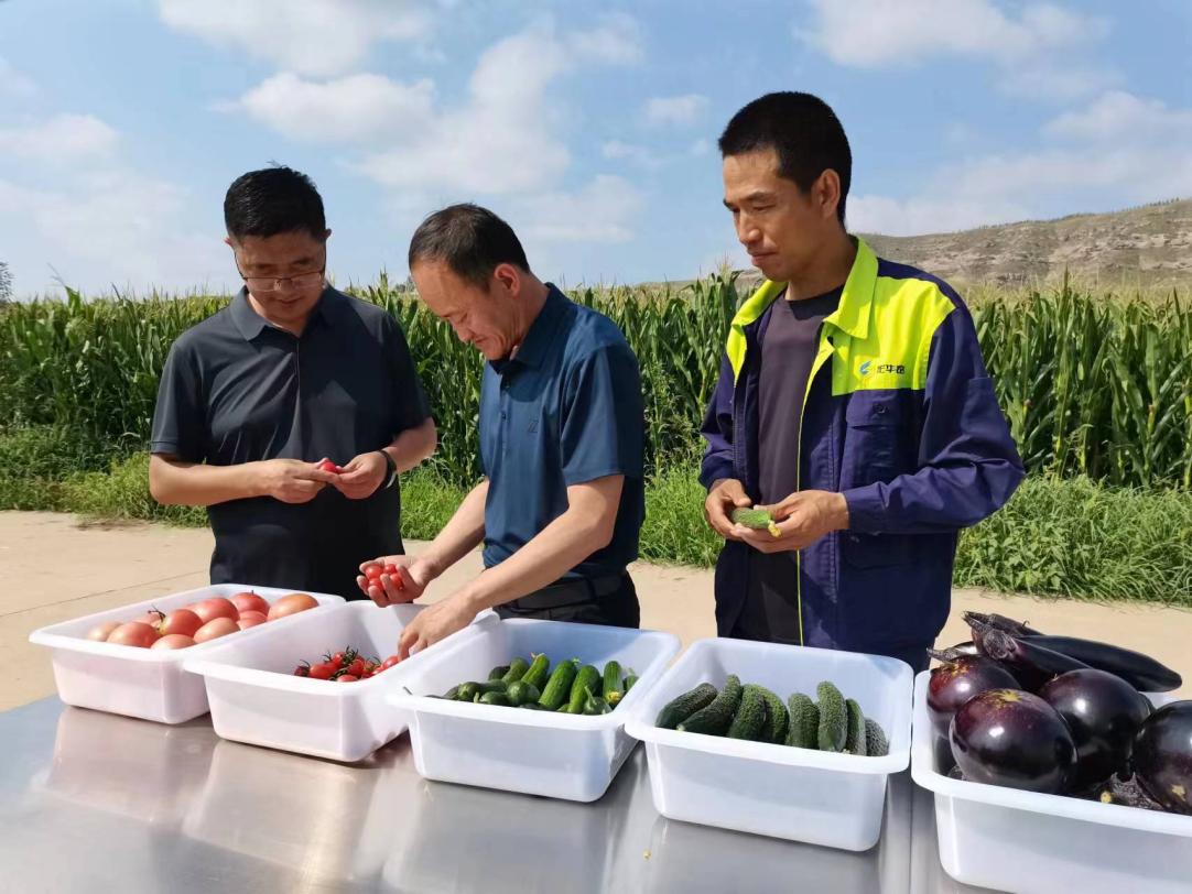榆林市乡村振兴标杆,榆阳区乡村振兴体验馆