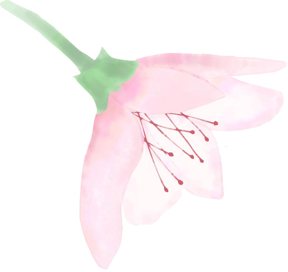 关于丁克的纪录片,你了解丁克吗说出你对丁克的看法