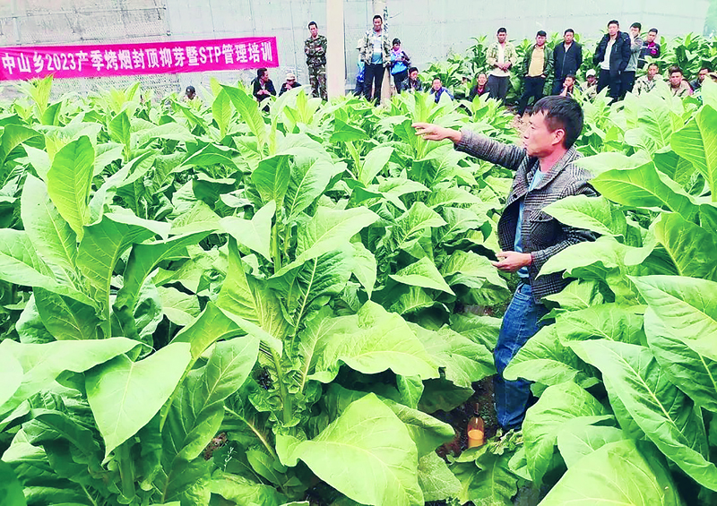 德宏州芒市中山乡,德宏芒市中山镇