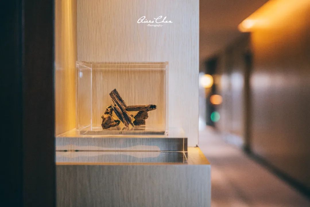 它是岭南花园的代表作，更是华南洲际的新旗舰