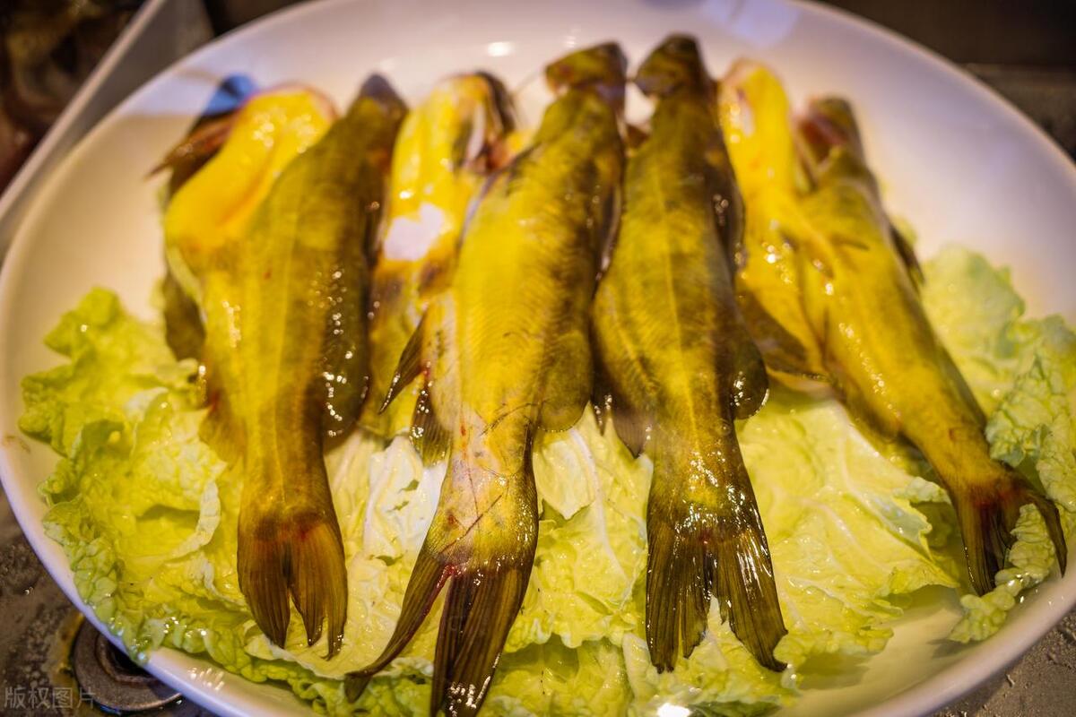 野钓常见的鱼好吃,钓鱼人公认的10种最好吃的淡水鱼