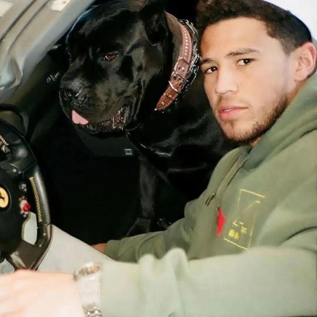 篮球壁纸头像,美式篮球球员照片图集