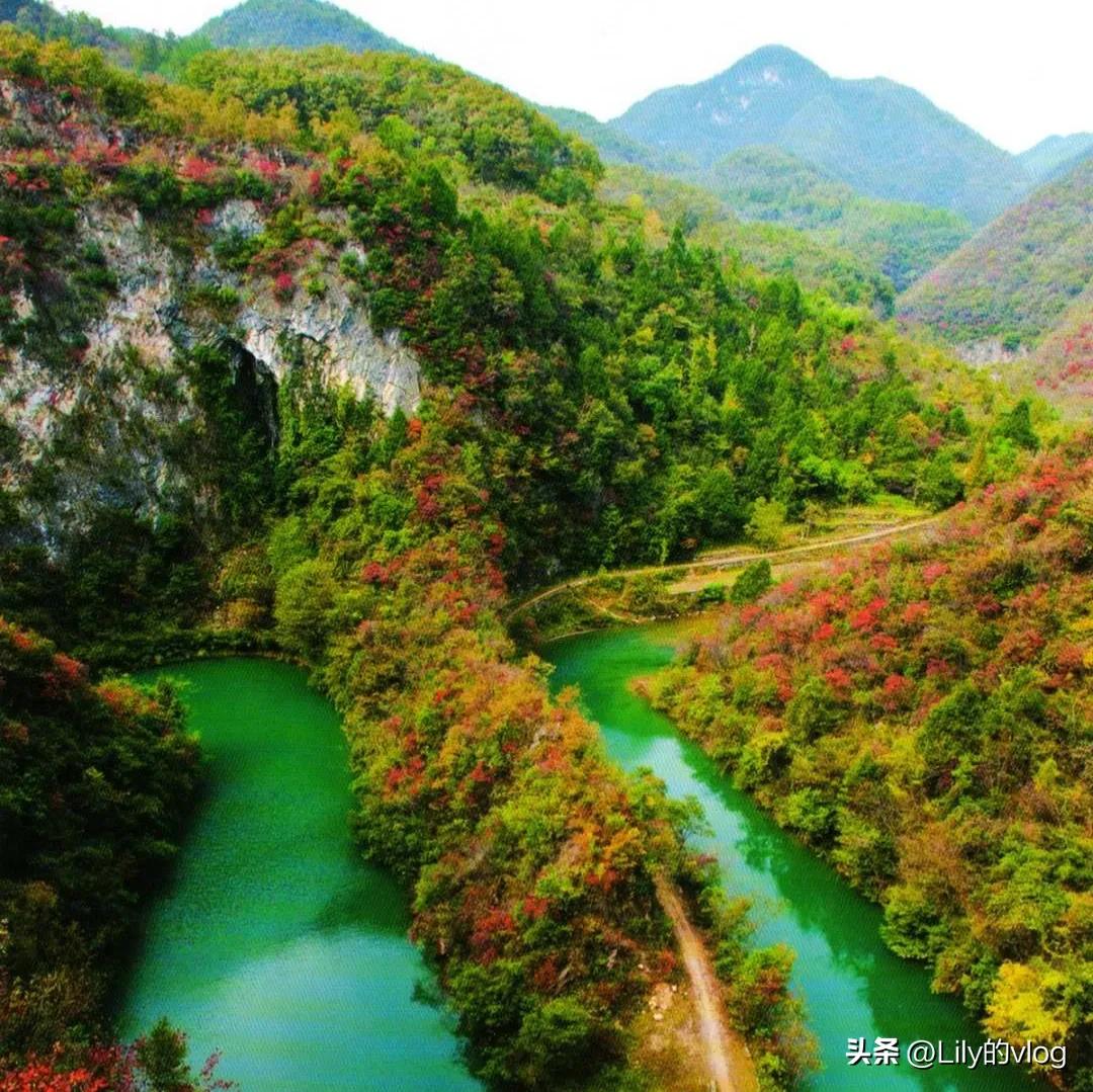 湖北南漳有个什么森林小镇,南漳是湖北的哪个市