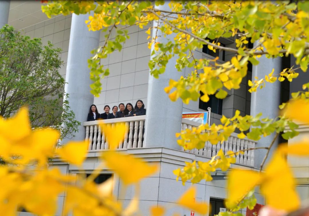 秋季限定|昆明九所学校，送你诗意校园里的一抹金