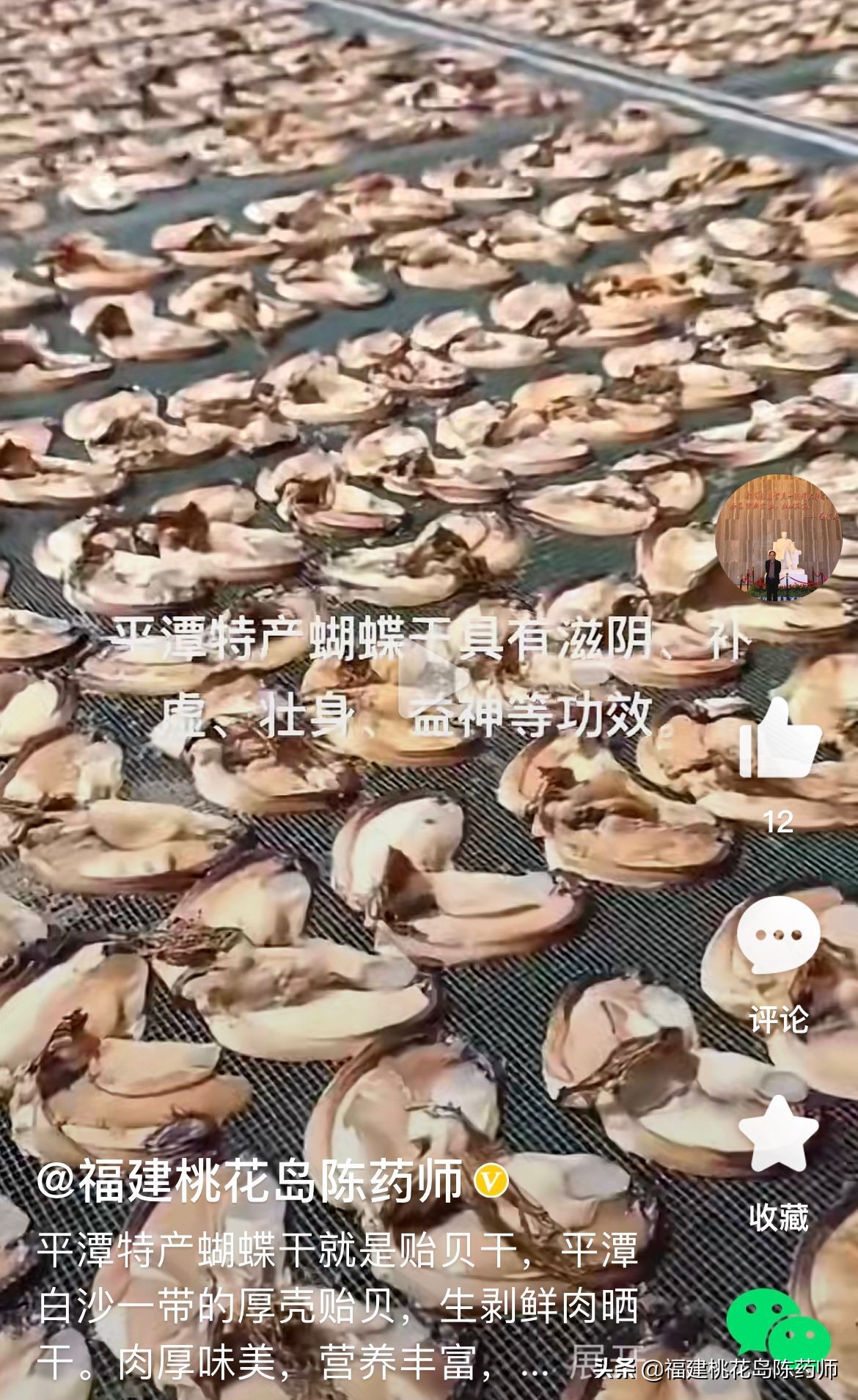 20味中药的功效与作用,中药大补阴丸的功效及作用