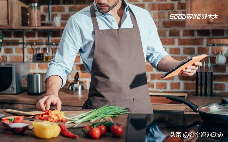 goodwife好太太油烟机央视广告,goodwife好太太油烟机官网型号