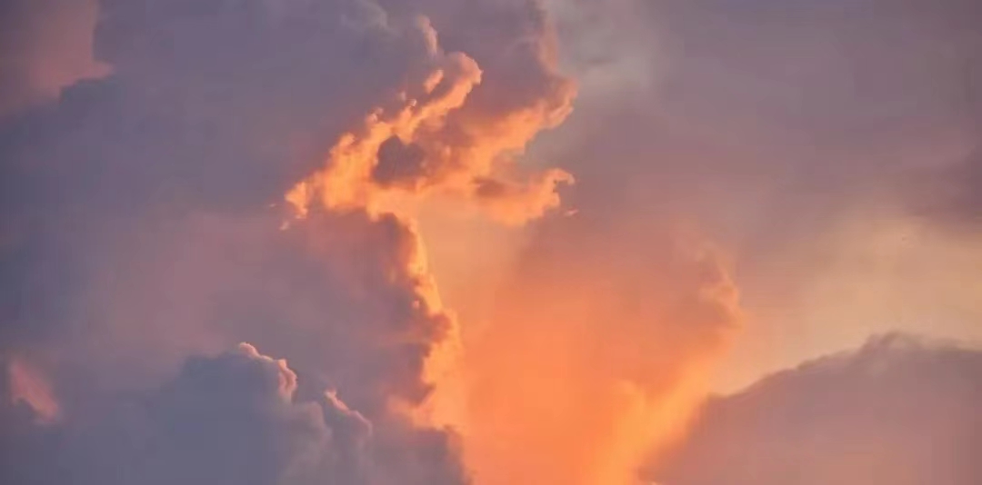 有哪些上当受骗的经历,被忽悠了还能做的兼职