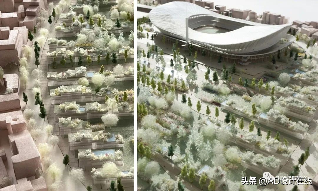 弗兰基球场改建,佛罗伦萨弗兰基球场