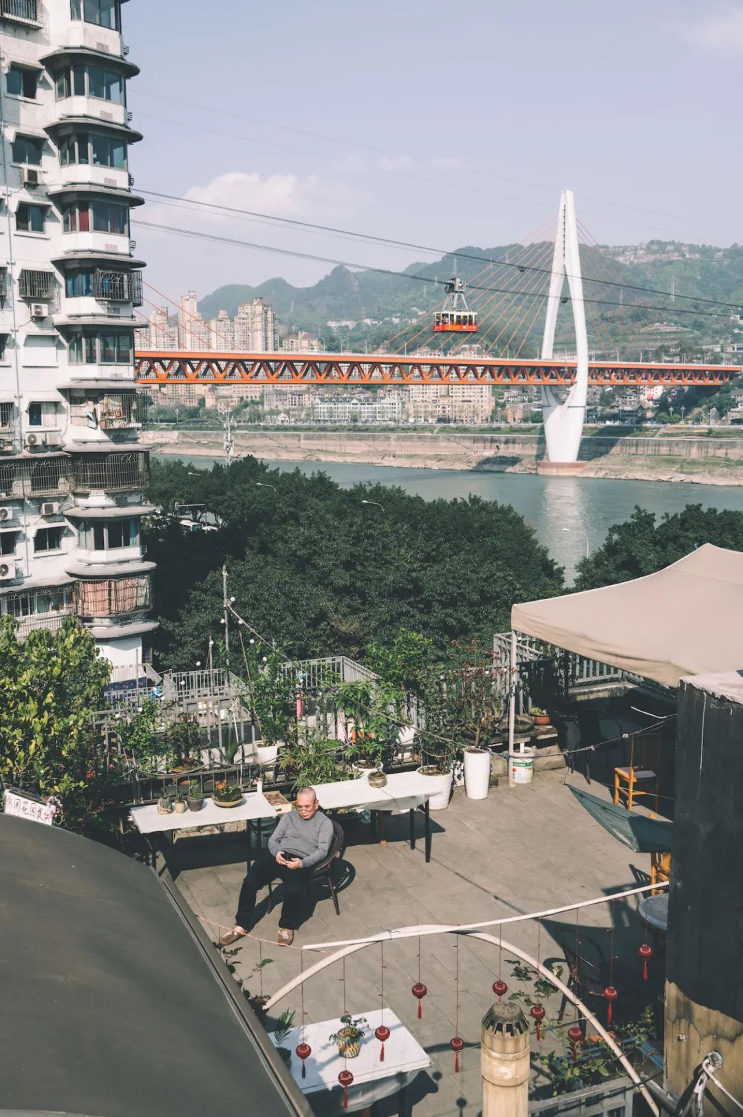 尼康z6ii24-50拍摄效果,尼康z6ii定焦镜头推荐