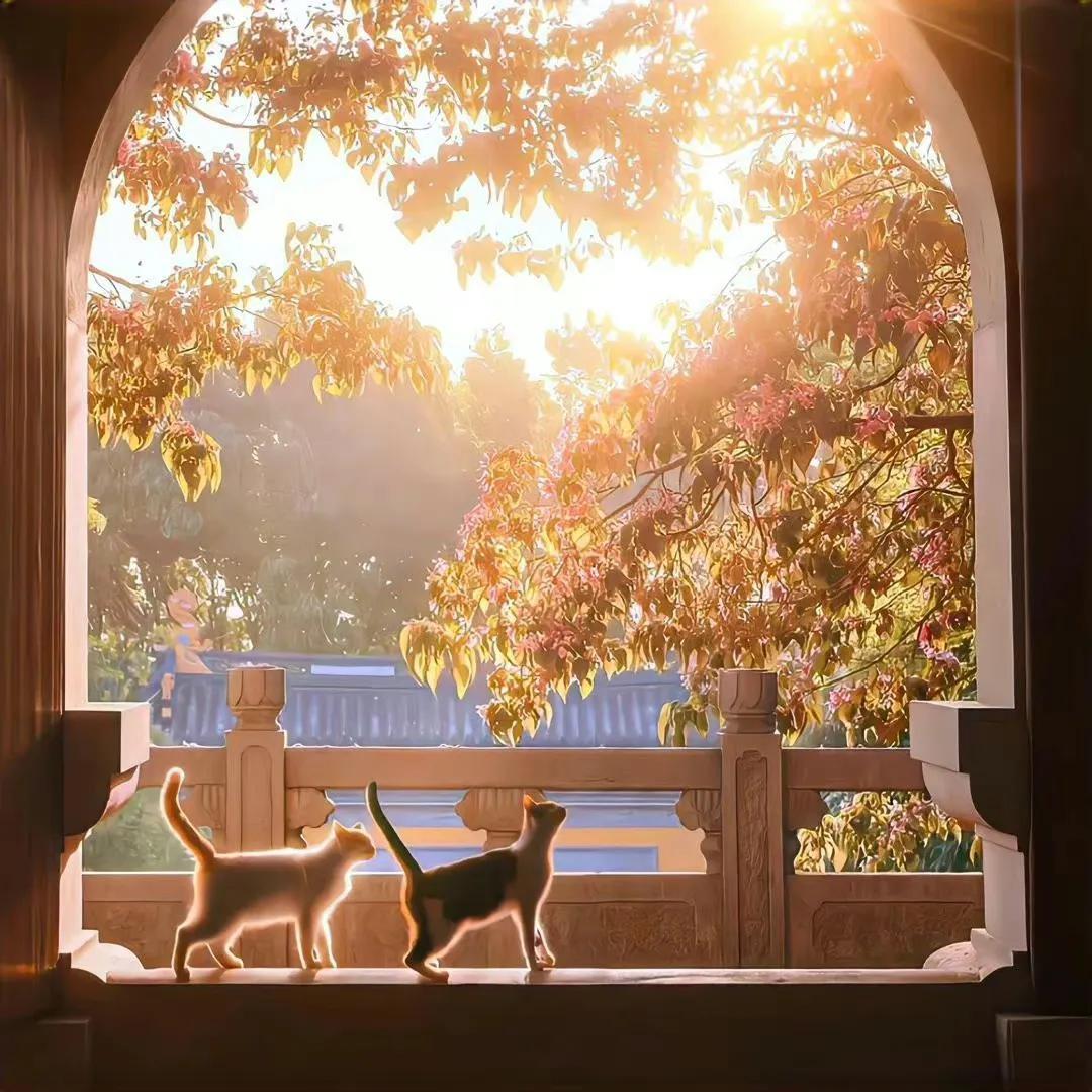 好运朋友圈背景图,勤劳致富背景图人民日报