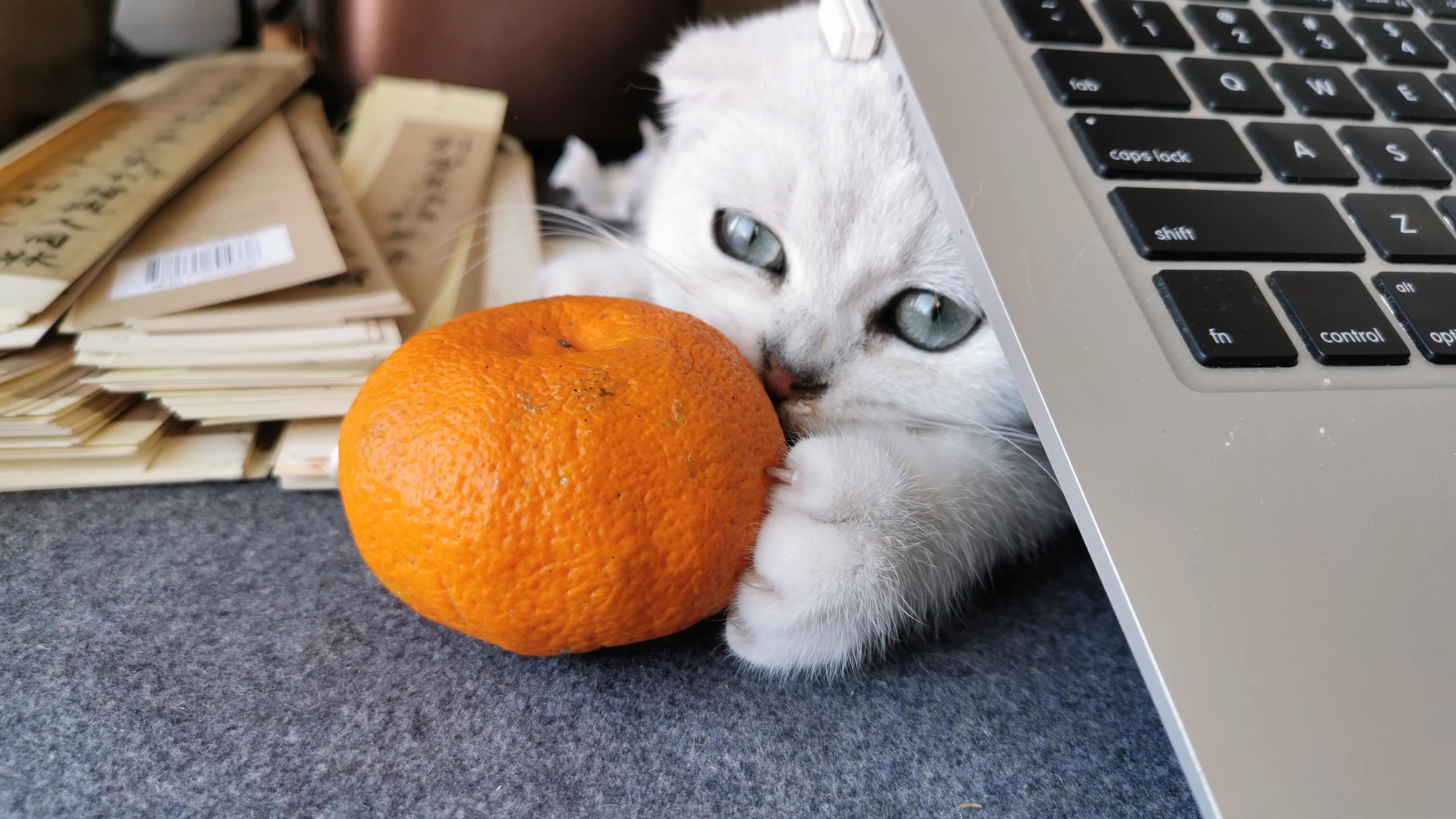 人生如棋走好属于你的那一步,人生如棋局每走一步不许回头